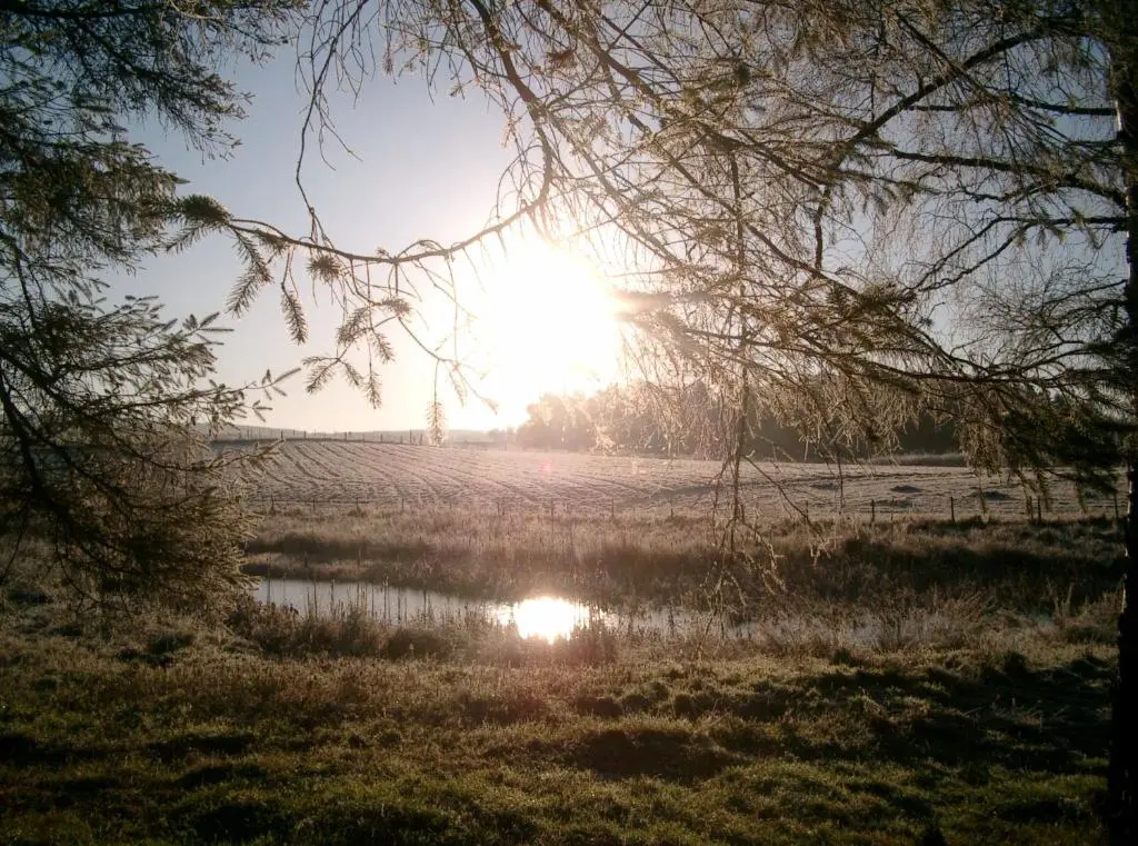 a field with the sun reflecting in the water at Marcassie Farm Lodges - Oak Studio - Accessible in Forres