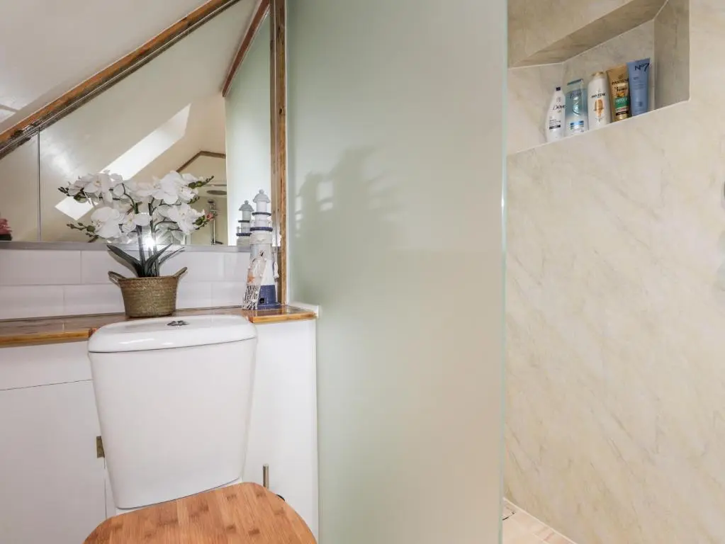 a bathroom with a toilet and a mirror at Griffin Cottage in Nairn