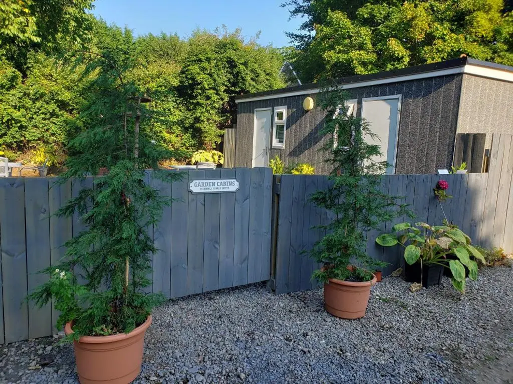 two trees in pots in front of a fence at Kingussie Garden Cabins in Kingussie