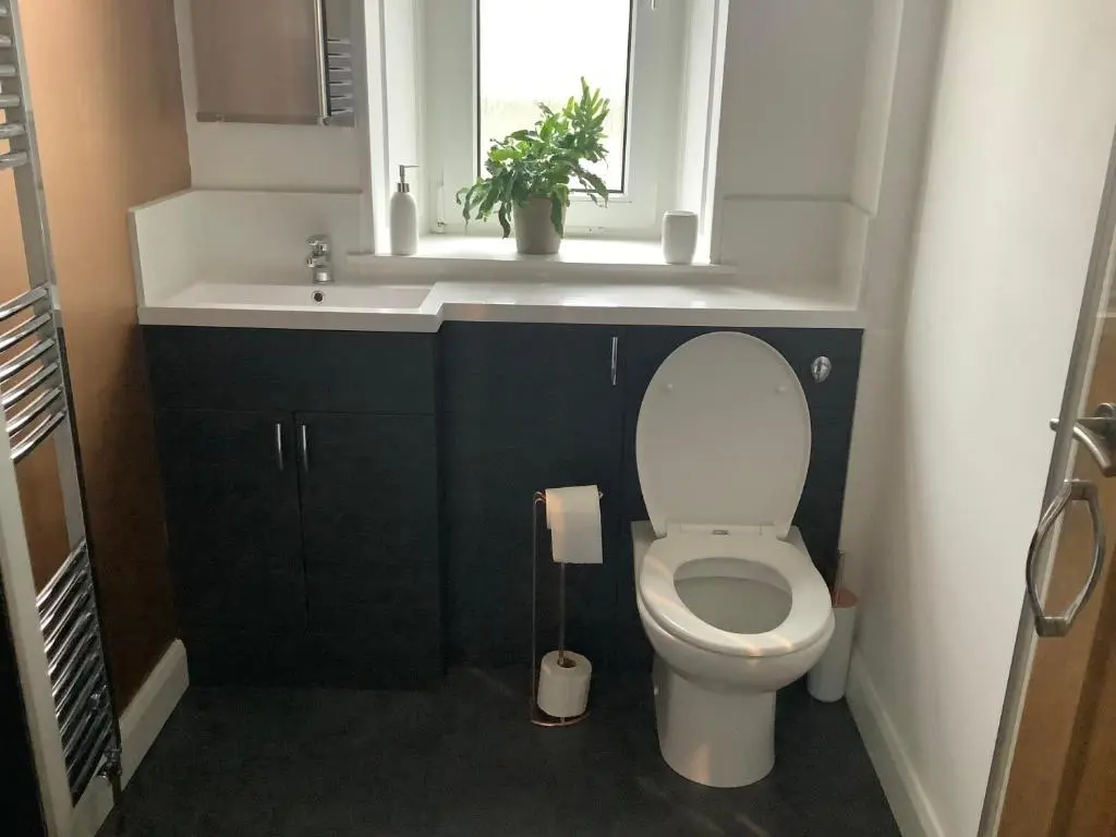 a bathroom with a white toilet and a sink at 4 Stills Apartment in Rothes