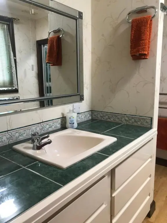 a bathroom with a sink and a mirror at Pine Chalet in Muir of Ord
