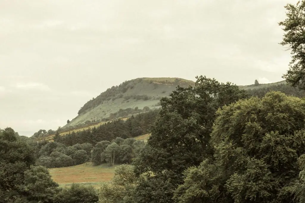 a mountain in the distance with trees in the foreground at No 4 the Highlands in Strathpeffer