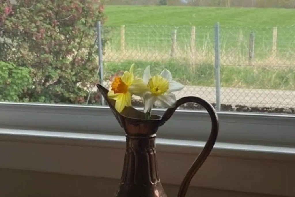 a vase filled with flowers sitting in a window at No 4 the Highlands in Strathpeffer