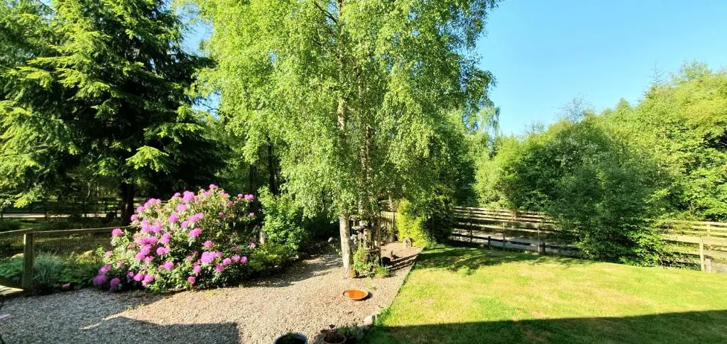 a garden with a tree and flowers and a fence at Torcroft Lodges in Drumnadrochit