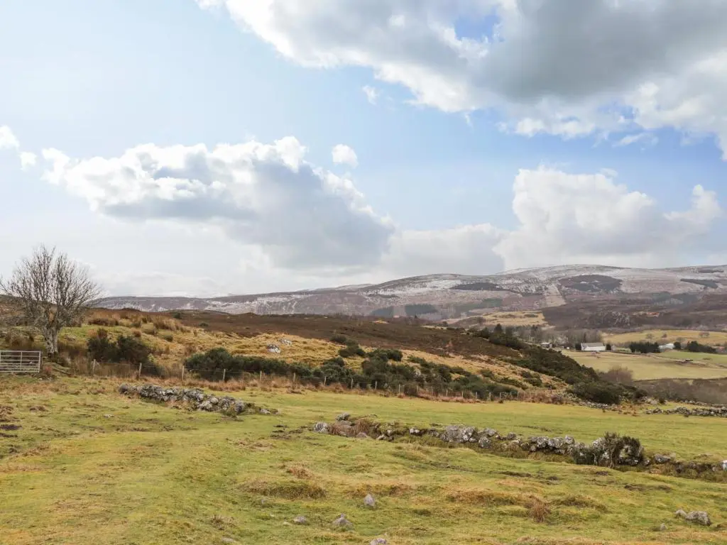 a herd of sheep in a field with mountains in the background at The Steading in Rogart
