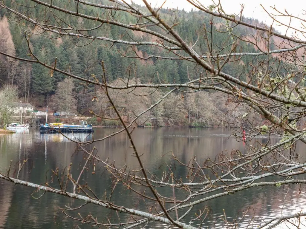 a boat on a lake with a tree branch at 4 River Court in Invergarry