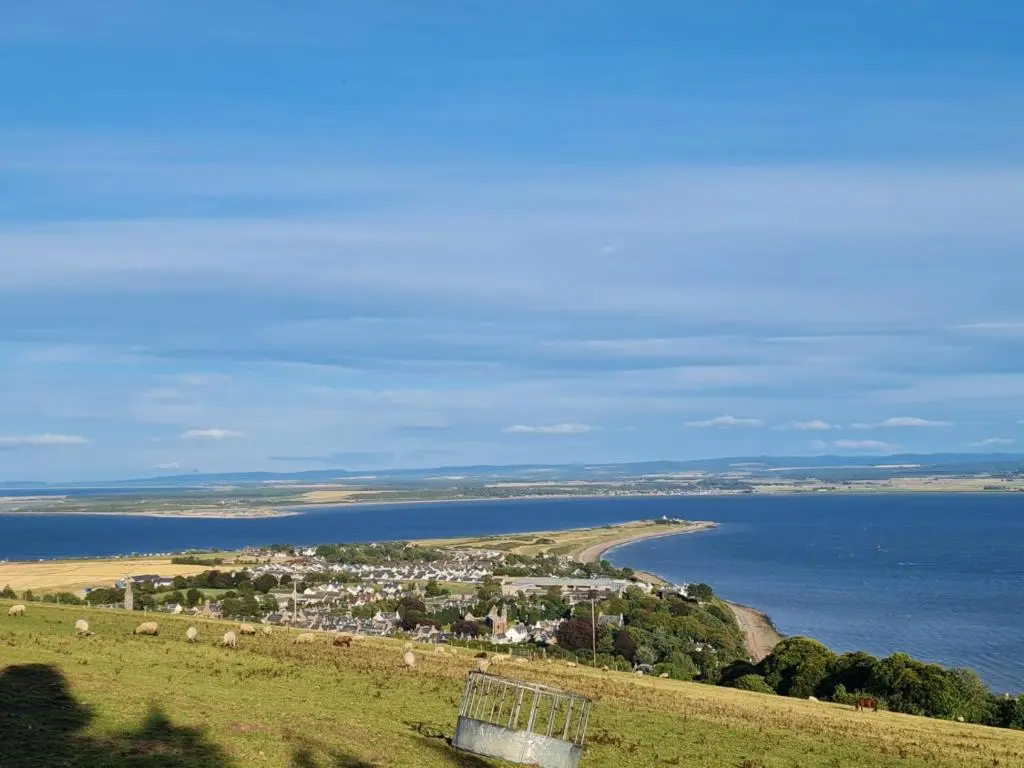 a group of animals grazing on a hill next to the ocean at Old Tavern House in Fortrose
