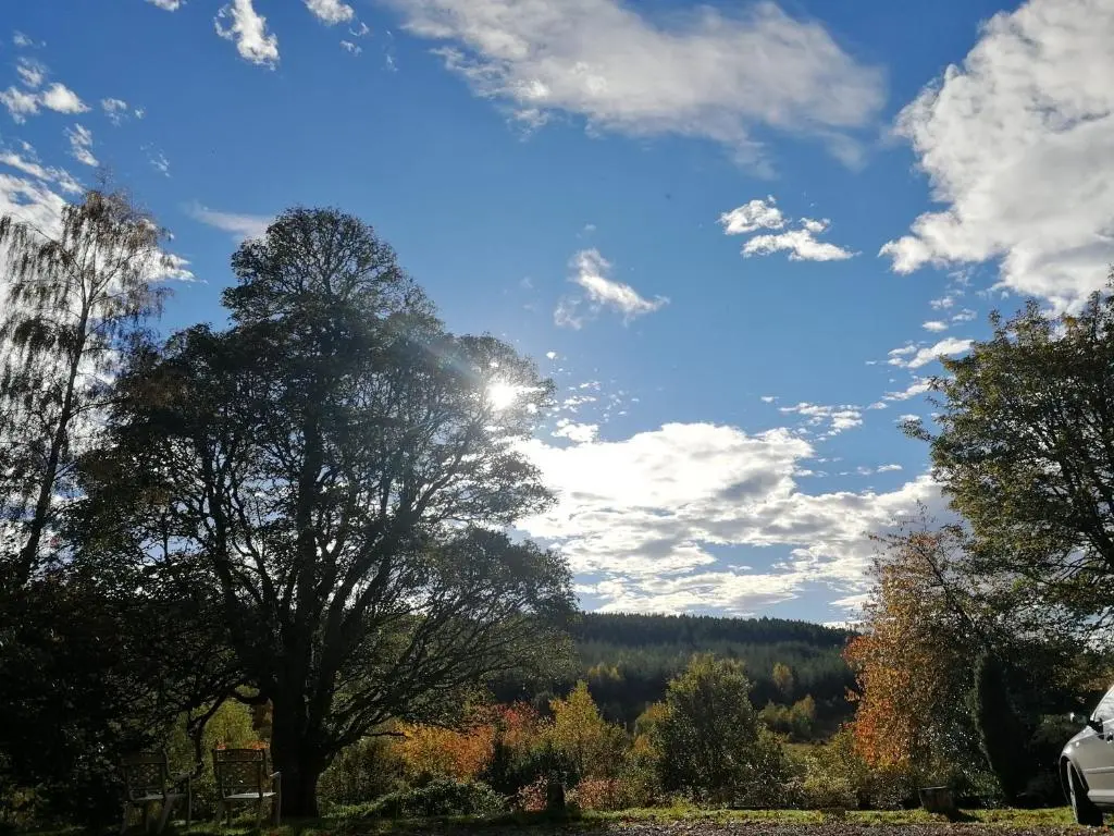 a tree in a field with the sun in the sky at Beautiful Listed Mansion with incredible woodland views in Huntly