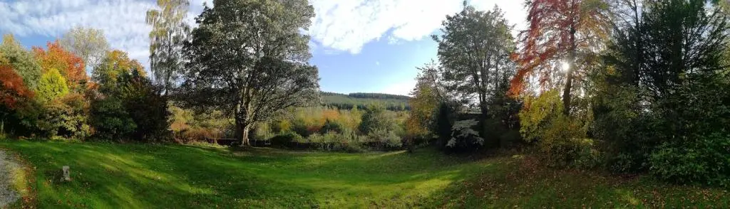 a field of grass with trees and a road at Beautiful Listed Mansion with incredible woodland views in Huntly