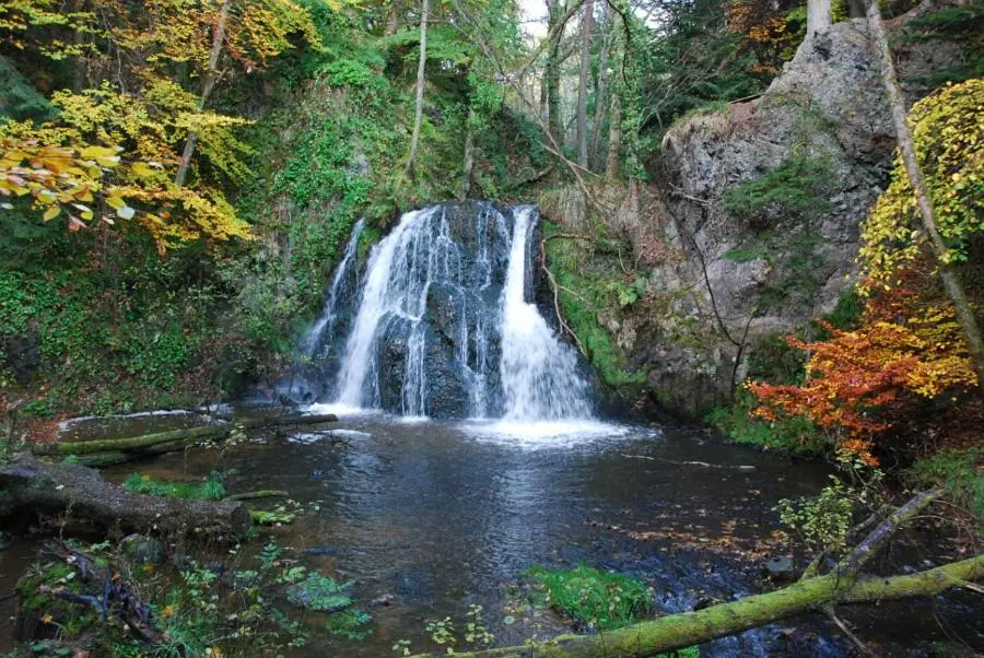 a waterfall in the middle of a forest at Clematis Cottage, Fortrose in Fortrose