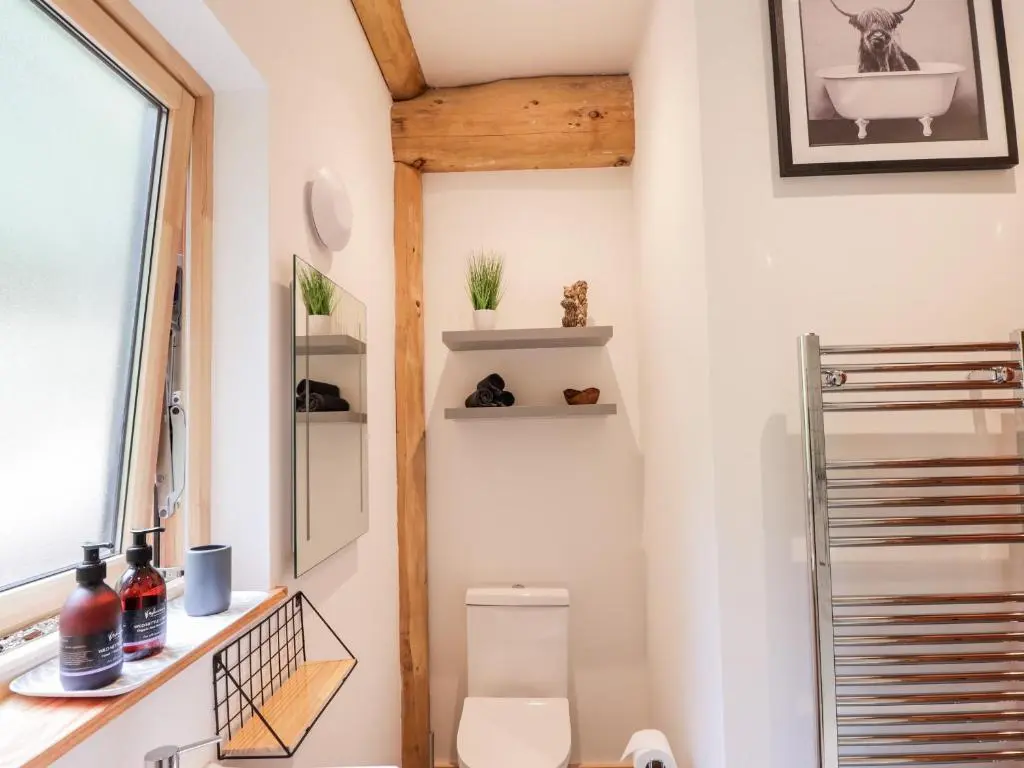 a small bathroom with a toilet and a window at Pine Marten Lodge in Grantown on Spey