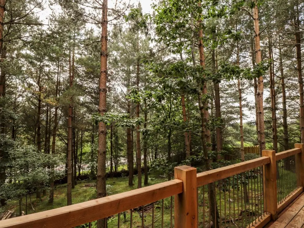 a wooden deck in a forest with trees at Pine Marten Lodge in Grantown on Spey