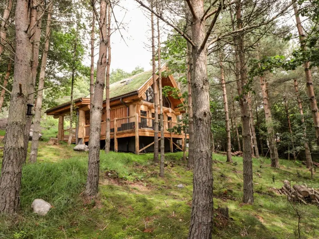 a log cabin in the woods with trees at Pine Marten Lodge in Grantown on Spey