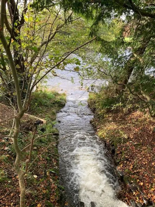 a stream of water in the middle of a forest at Stylish apartment in the heart of Inverness in Inverness