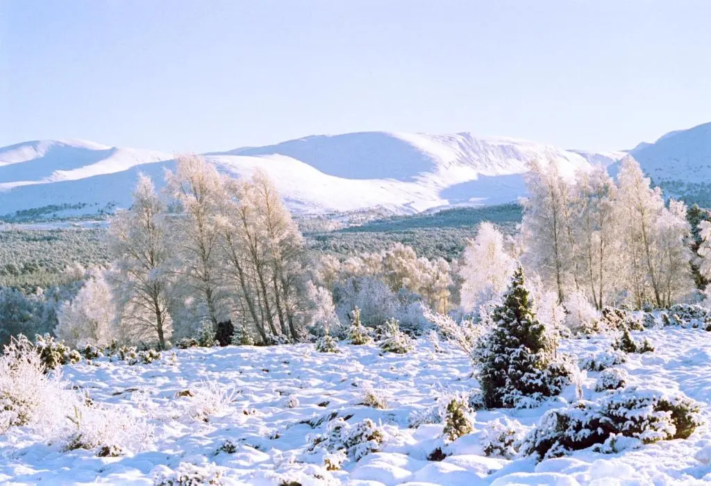 a snow covered hill with trees and mountains in the background at Ptarmigan in Nethy Bridge