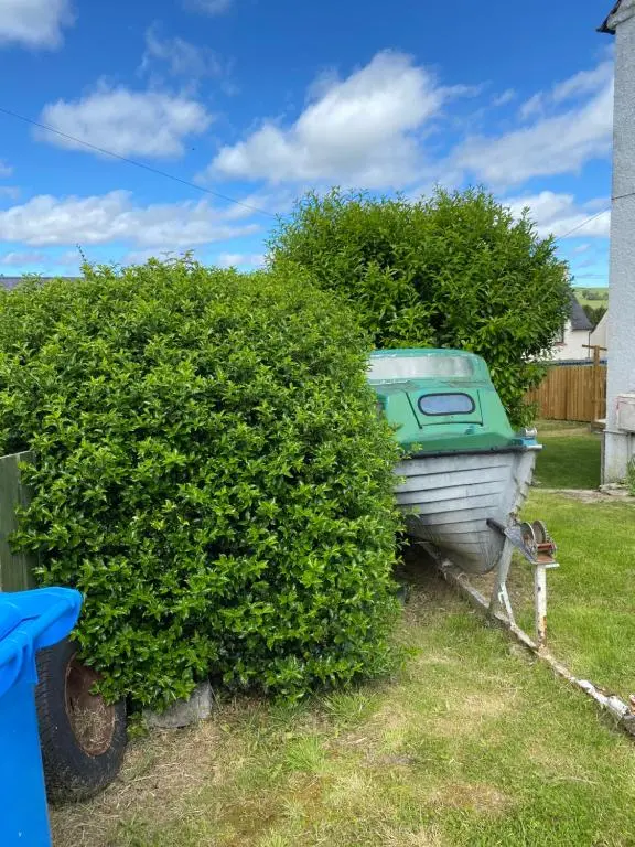 a small boat is sitting in a bush at No 5 Newly refurbished 4 bedroom house in Cononbridge