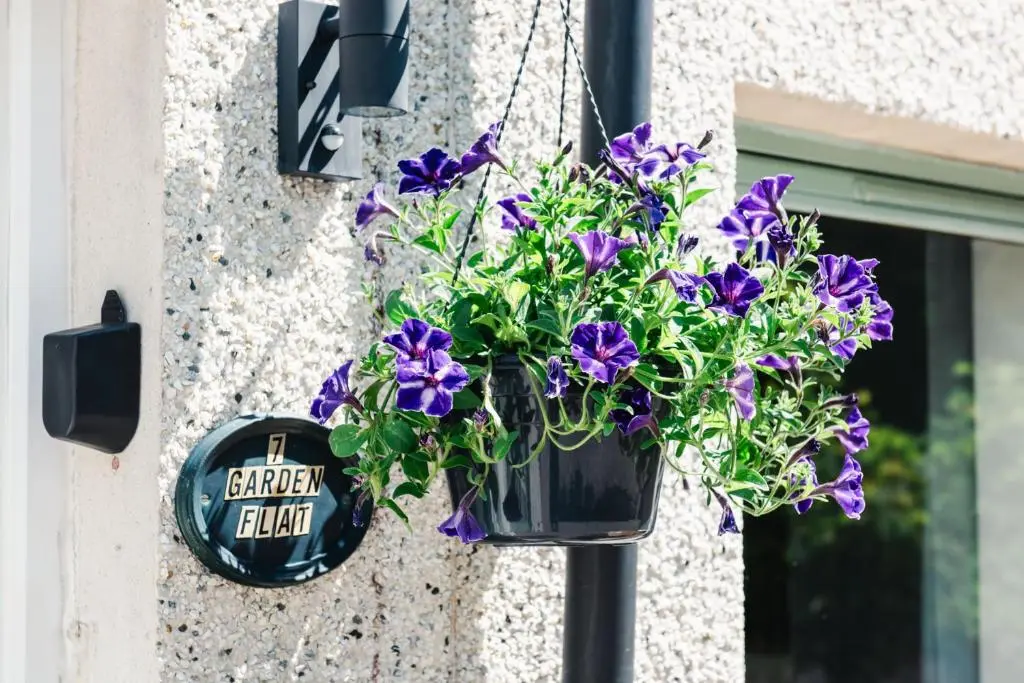 a flower pot hanging on a wall with purple flowers at Stylish Garden Flat Near Loch Ness in Drumnadrochit