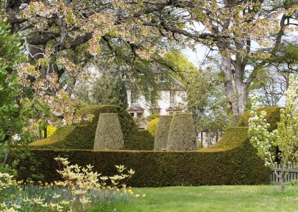 a garden with hedges and a house in the background at Gardener's Cottage in Elgin