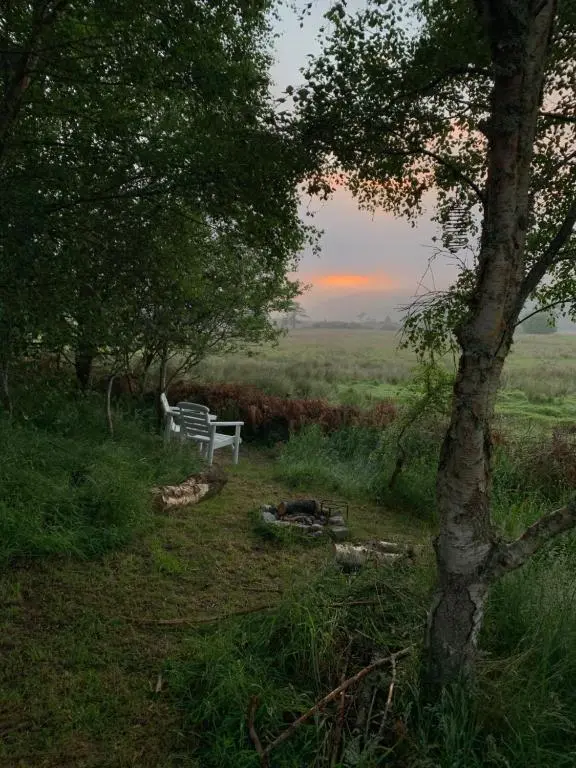 a white bench sitting in the grass near a tree at Birkenshaw - Beautiful Shepherd\u2019s Hut in the Highlands. in Dornoch