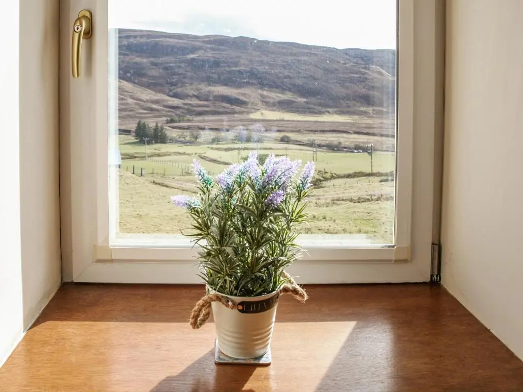 a potted plant sitting in front of a window at Hill Cottage in Ardmair