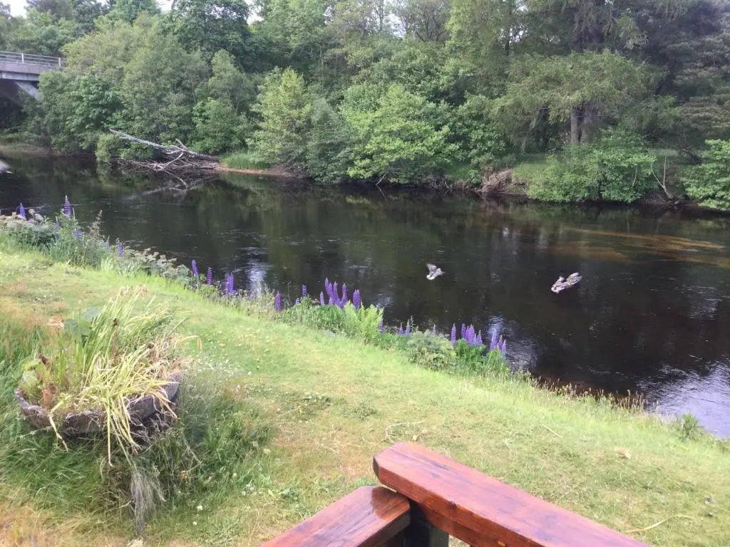 a bench sitting next to a river with purple flowers at RIVERSIDE LODGE RETREAT in Aviemore