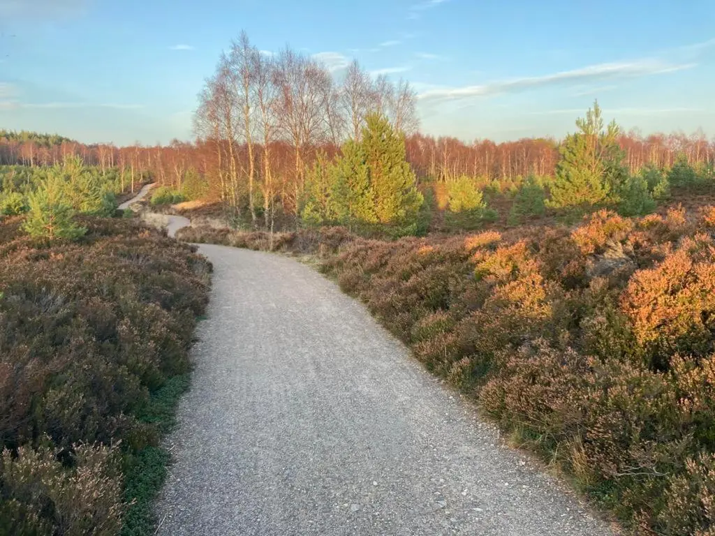 a path in the middle of a field with trees at RIVERSIDE LODGE RETREAT in Aviemore