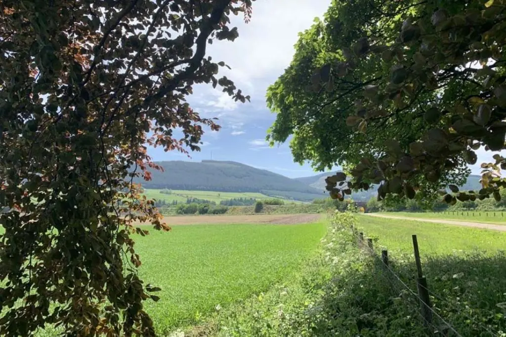a field of green grass with a fence and trees at Garbity Farmhouse - beautiful 6-bedroom Farmhouse with open fires in Fochabers