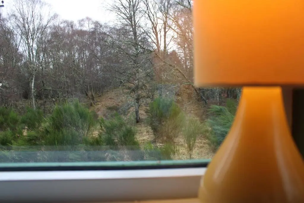 a close up of a window with a lamp at Betula Chalet \u2013 coast & country in the Highlands in Nairn