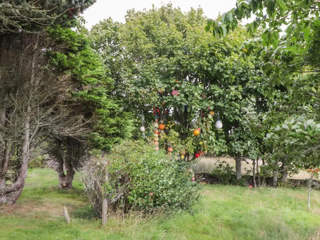 an apple orchard with fruit trees and grass at Ceol na Mara in Berriedale