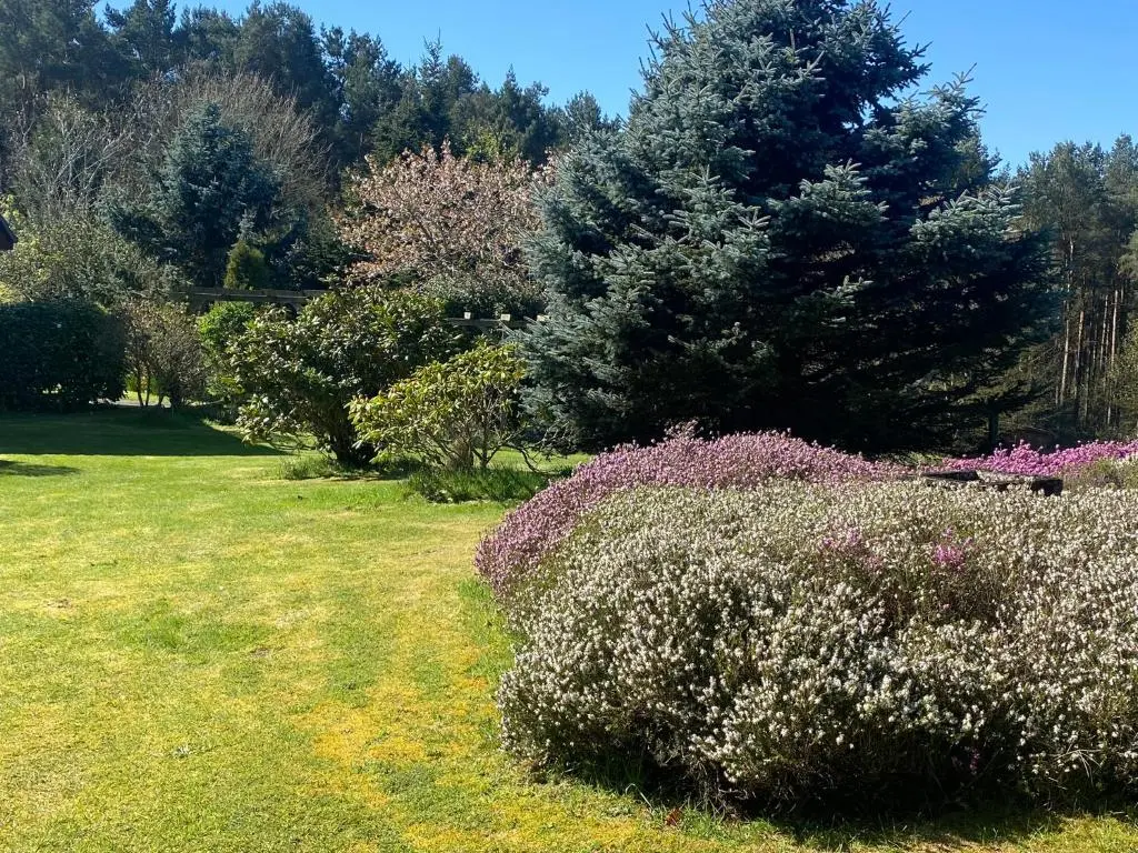 a garden with purple flowers and trees in the background at Drummond Neuk - Pets Welcome free, country setting, free onsite parking in Inverness