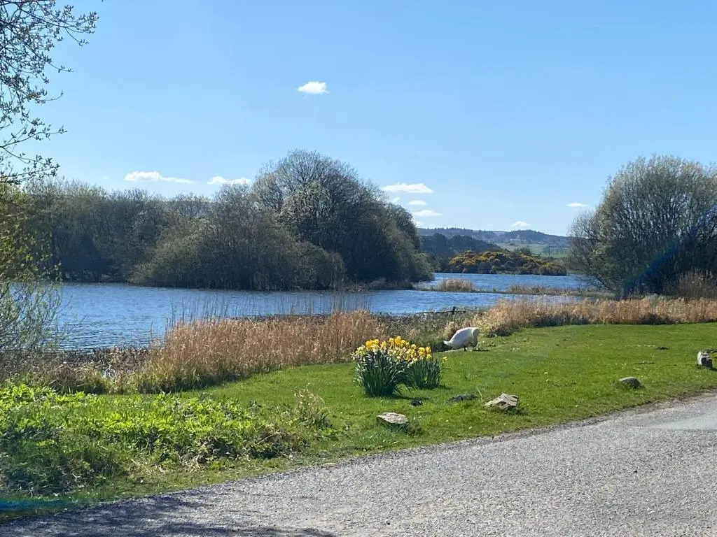 a river with a field of grass next to a road at Drummond Neuk - Pets Welcome free, country setting, free onsite parking in Inverness