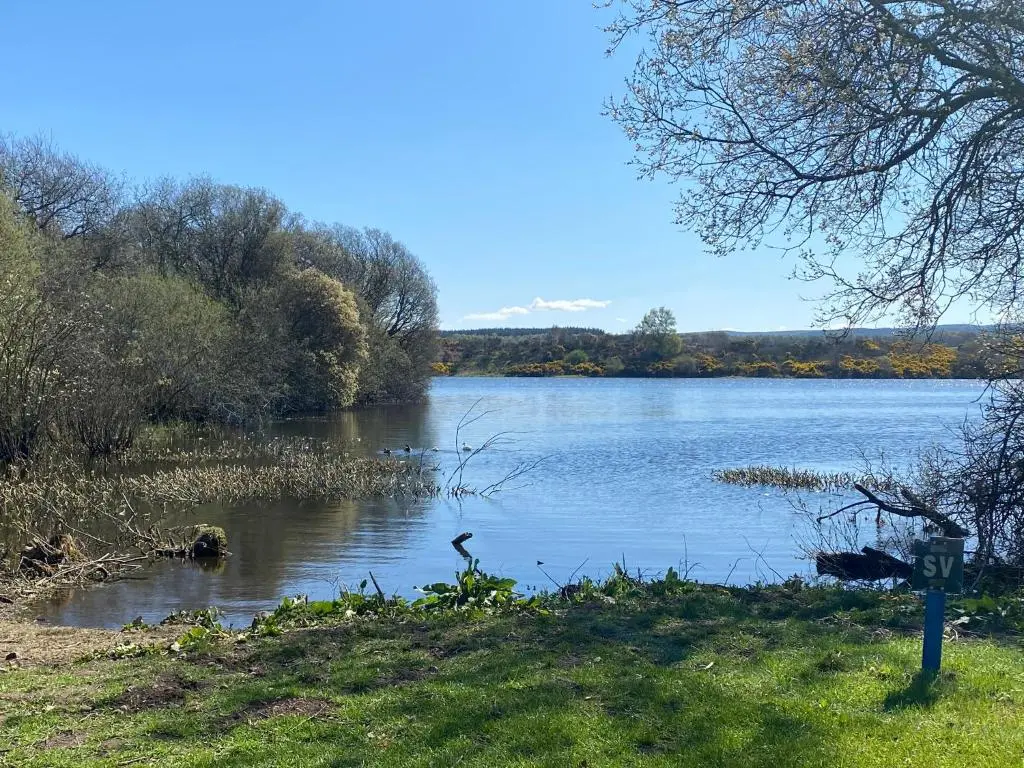 a view of a large lake with trees and grass at Drummond Neuk - Pets Welcome free, country setting, free onsite parking in Inverness