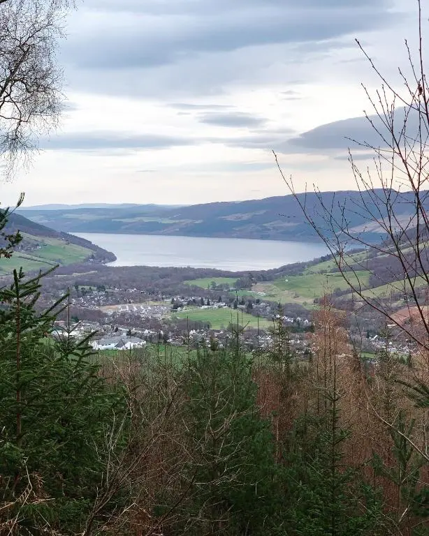 a view of a lake from the top of a hill at Loch Ness Woodland Pods in Drumnadrochit