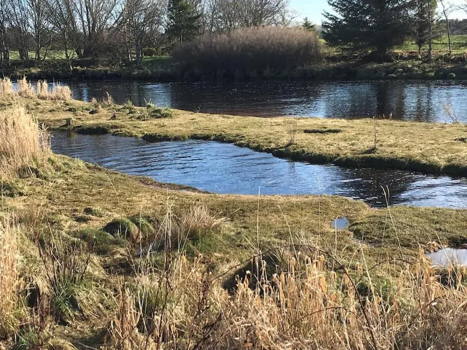 a river in a field with some grass and some water at Kings Cottage, Nairn - a charming place to stay in Nairn