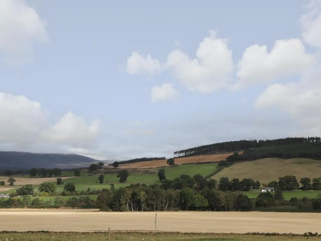 a field with trees and hills in the background at Garden Lodge in Muir of Ord