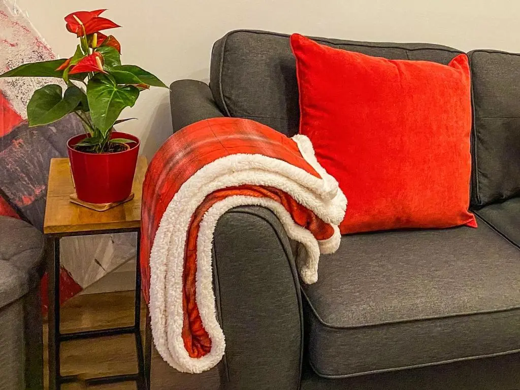 a red and white blanket on a couch with a plant at Dove Cottage in Inverness