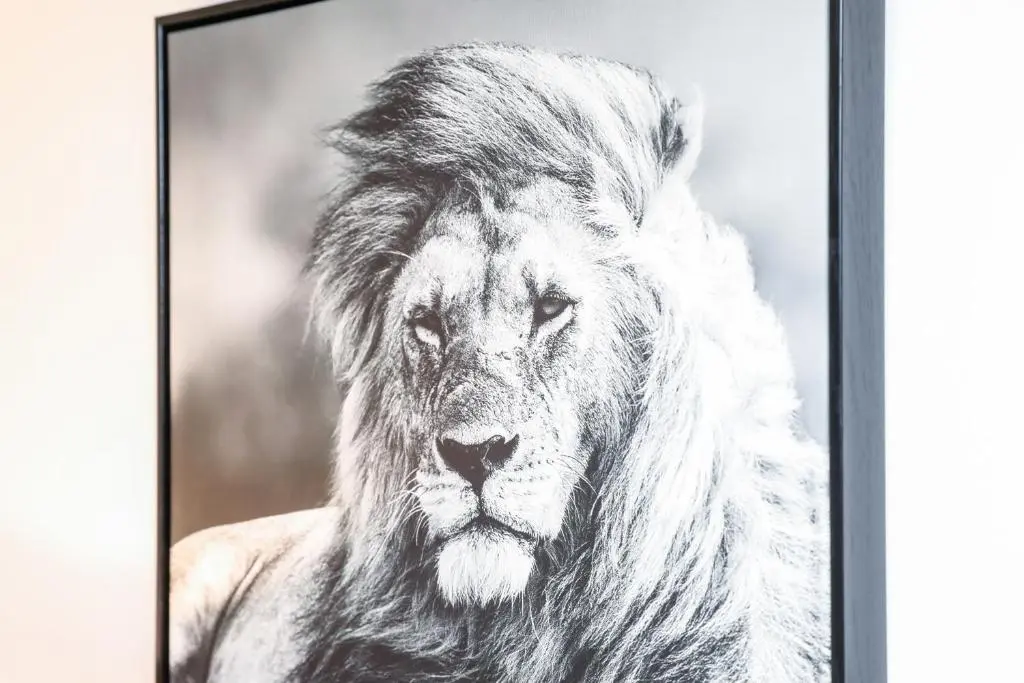 a black and white picture of a lion at mySTAYINN Tomnahurich Guest House in Inverness