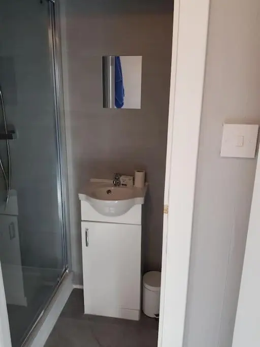 a bathroom with a toilet and a sink and a shower at Craigellachie Cabin in Aviemore