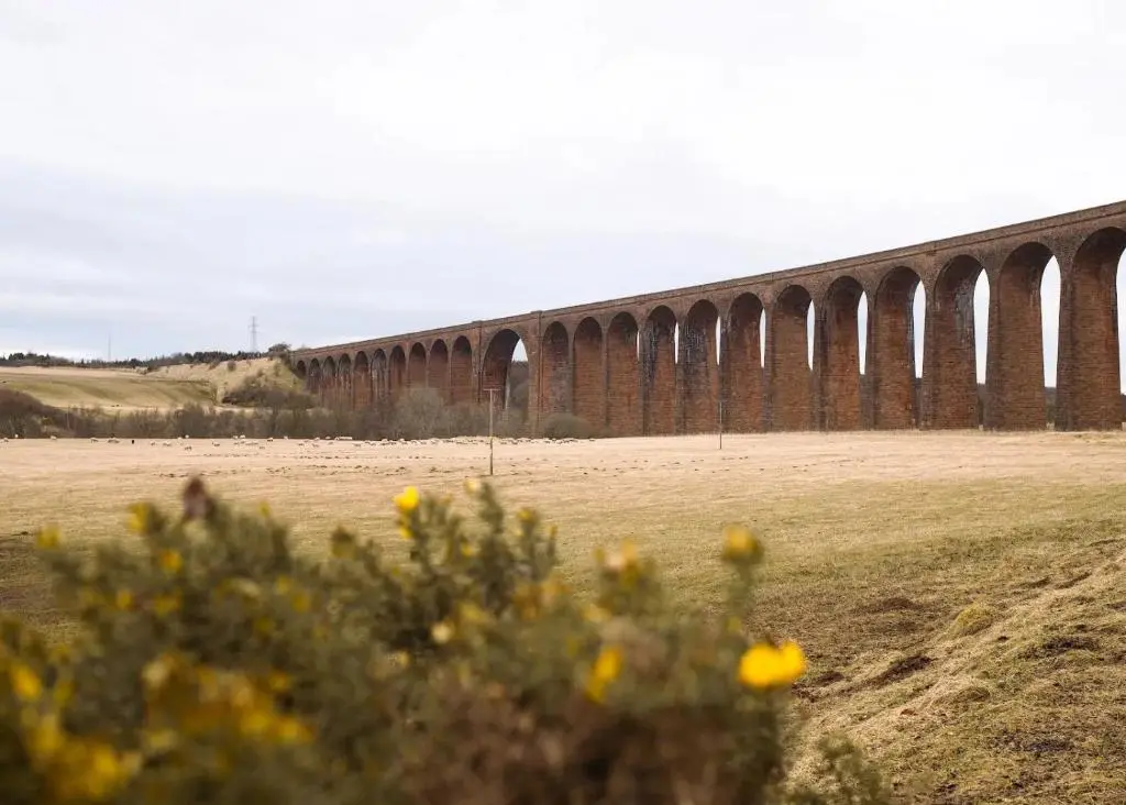 a long bridge with yellow flowers in the foreground at Apartment No16 in Inverness