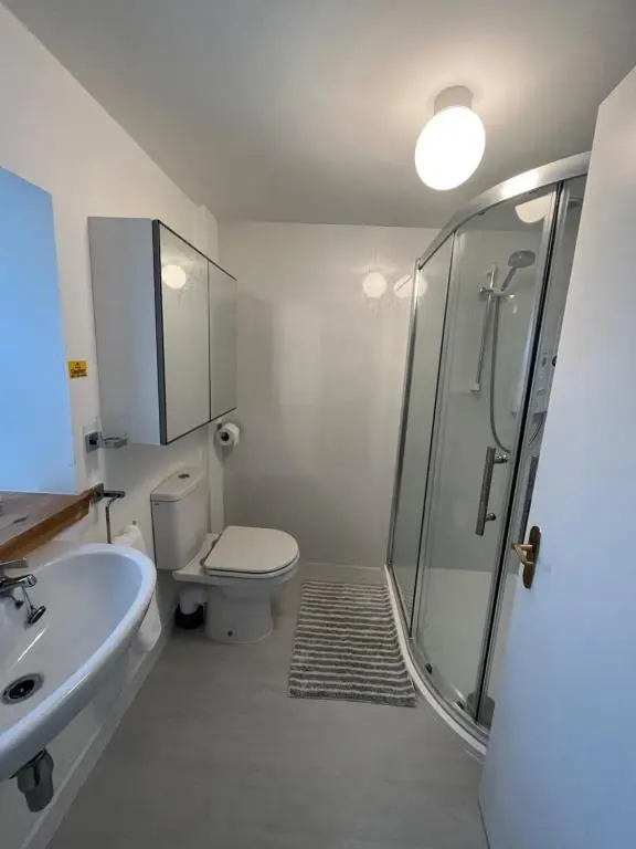 a bathroom with a shower and a toilet and a sink at North Coast Property - 17 Margaret Street - Avoch in Avoch
