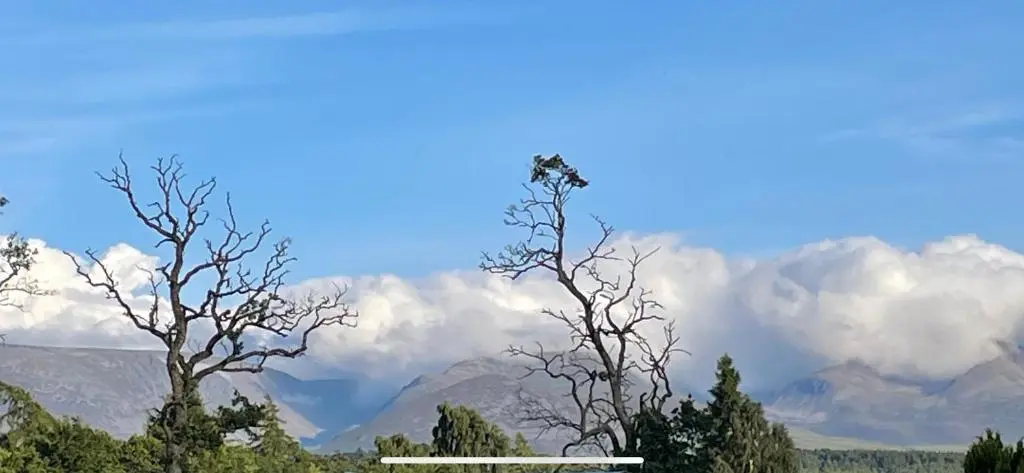 two trees with mountains and clouds in the background at Freedom Lodge-Aviemore with FREE Starlink Superfast broadband 150mbps - All bedding and towels included - Pet Free in Aviemore