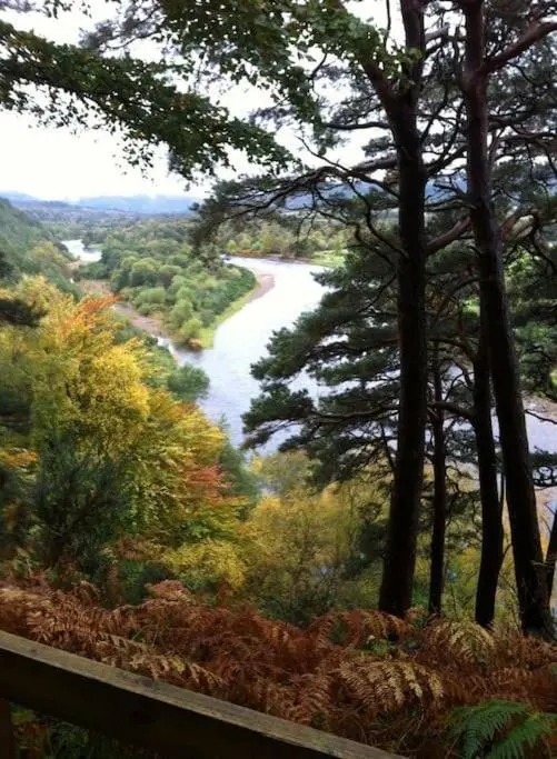 a view of a river from a hill with trees at Norwegian Log Cabin The Roe Deer -sauna & hot tub in Keith