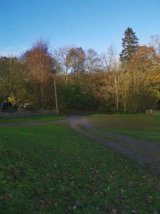 a dirt road in the middle of a grass field at Riverside Lodge in Killiecrankie in Bridge of Tilt