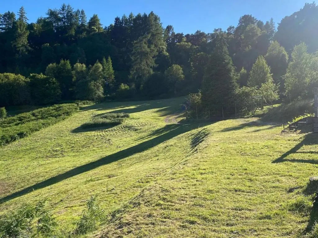 a grassy hill with trees in the background at Holiday Home Peter's Shed by Interhome in Drumnadrochit