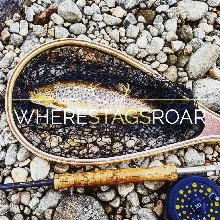 a fish in a net on a rocky beach at Baltinna East - by Where Stags Roar in Newtonmore