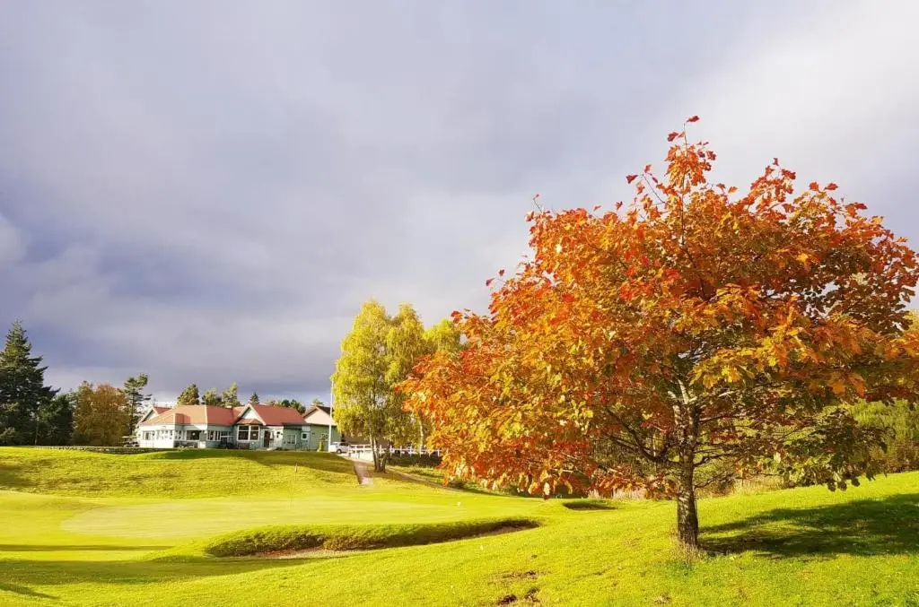 a tree on a golf course with a house in the background at Baltinna West - by Where Stags Roar in Newtonmore
