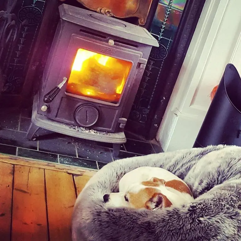 a dog laying in a dog bed in front of a fireplace at Caman House Apt 2 - by Where Stags Roar in Newtonmore