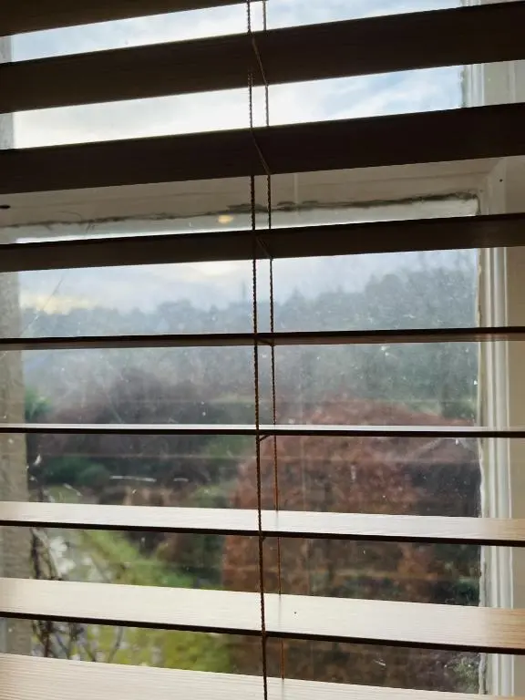 a close up of a window with blinds at St Duthus Villa Guesthouse in Tain