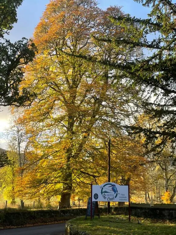 a sign in front of a tree with autumn leaves at The Cnoc Hotel in Beauly