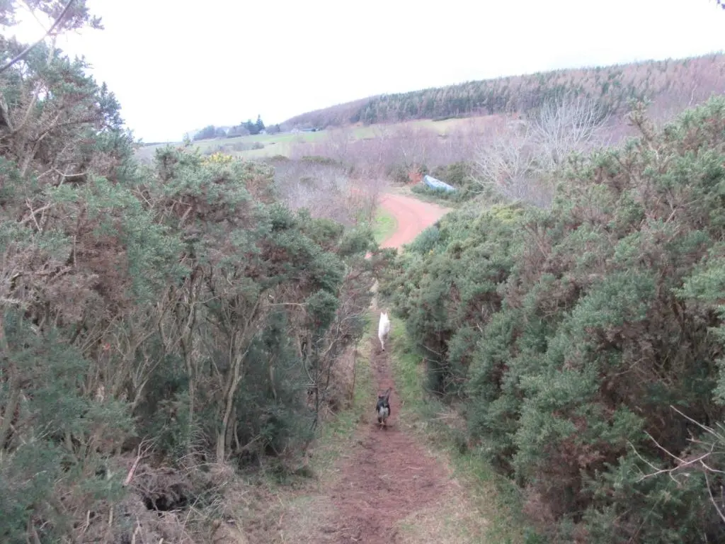 a person riding a bike down a dirt trail at Kestrel, Longhouse Cottages in Rosemarkie